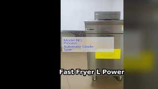 L Commercial Deep Fryer  Burners LPG atural Gas